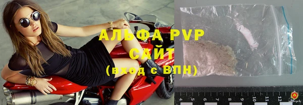 скорость Вяземский