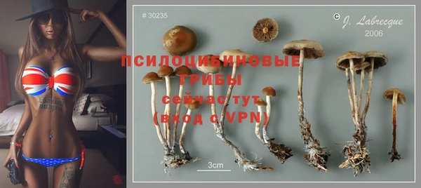 скорость Вяземский