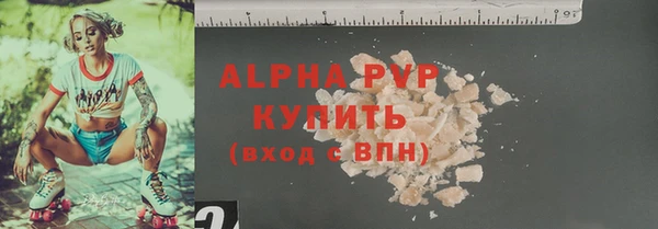 скорость Вяземский