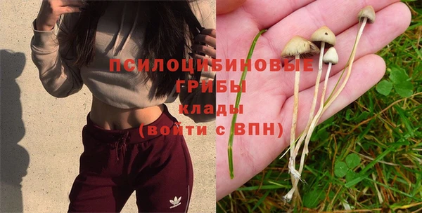 скорость Вяземский