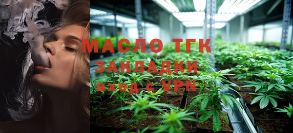 скорость Вяземский