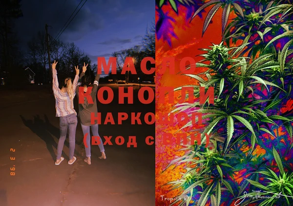 скорость Вяземский