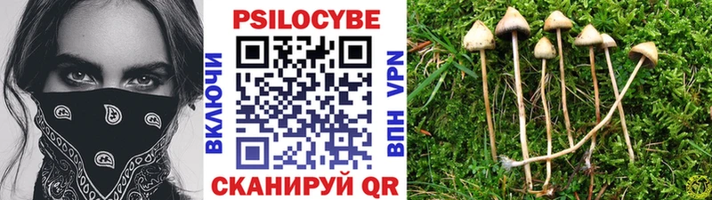 Псилоцибиновые грибы прущие грибы  Купить  Владикавказ 